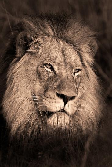 Photographic Print, , large