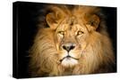 Stretched Canvas