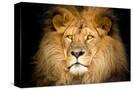 Stretched Canvas