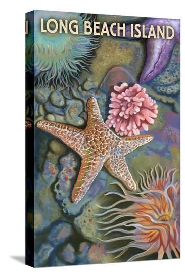 Stretched Canvas Print, , large