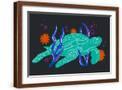 Brown Frame