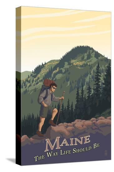 Stretched Canvas Print, , large