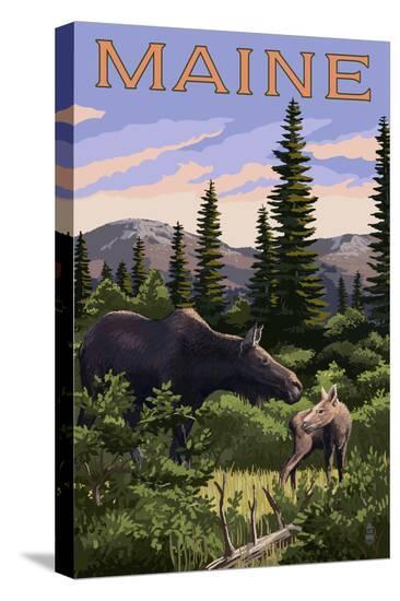 Stretched Canvas Print, , large