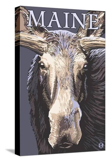 Stretched Canvas Print, , large