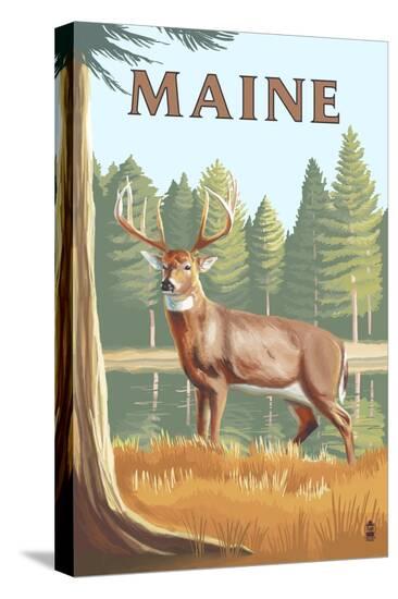 Stretched Canvas Print, , large