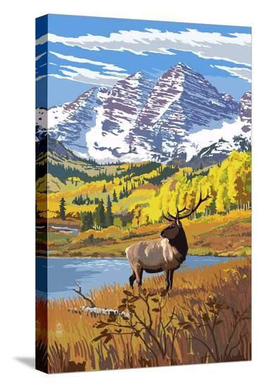 Stretched Canvas Print, , large