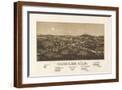Brown Frame