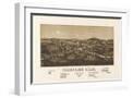 White Frame