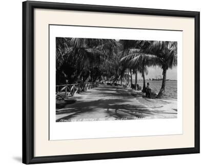 Framed Photographic Print, , large