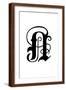 Brown Frame