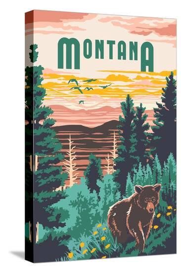 Stretched Canvas Print, , large