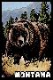 'Montana - Grizzly Bear - Scratchboard - Lantern Press Artwork' Print ...