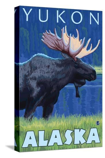 Stretched Canvas Print, , large