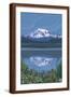 Brown Frame