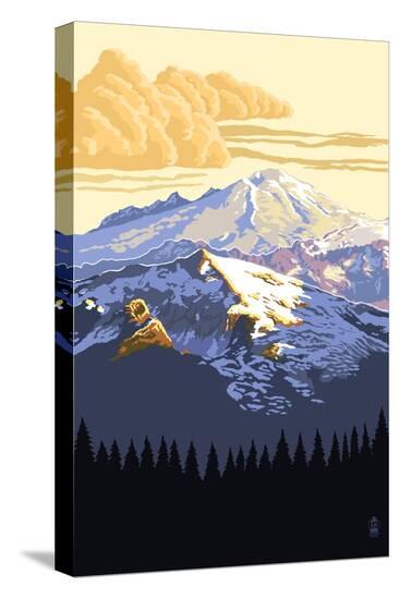 Stretched Canvas Print, , large