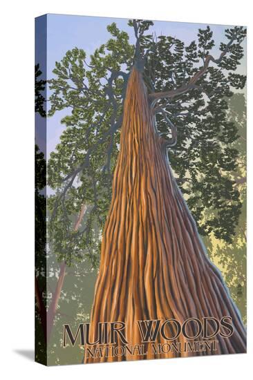 Stretched Canvas Print, , large