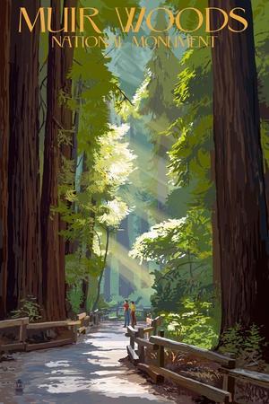 Muir Woods National Monument, California - Pathway
