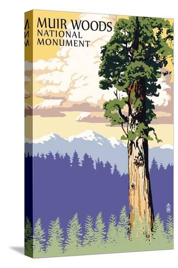 Stretched Canvas Print, , large