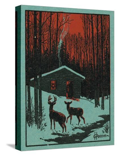 Stretched Canvas Print, , large