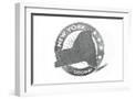 White Frame
