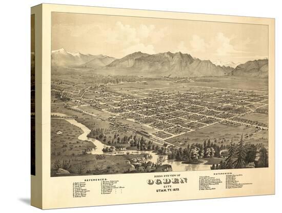 Stretched Canvas Print, , large