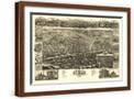 Brown Frame