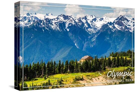 Stretched Canvas Print, , large