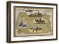 Brown Frame