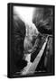 Essential Black