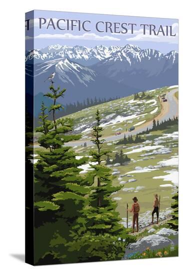 Stretched Canvas Print, , large