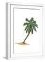 White Frame