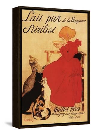 Domestic cat/フンデルトヴァッサー/ポスター Domestic cat/フンデルトヴァッサー/ポスター