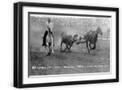 Black Frame