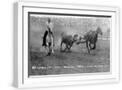 White Frame