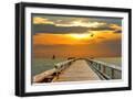 Black Frame