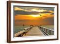 Brown Frame