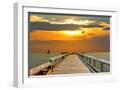 White Frame