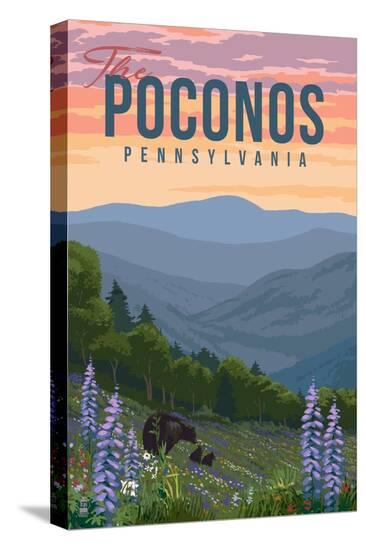 Stretched Canvas Print, , large