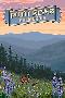 Laminate
