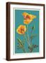 Brown Frame
