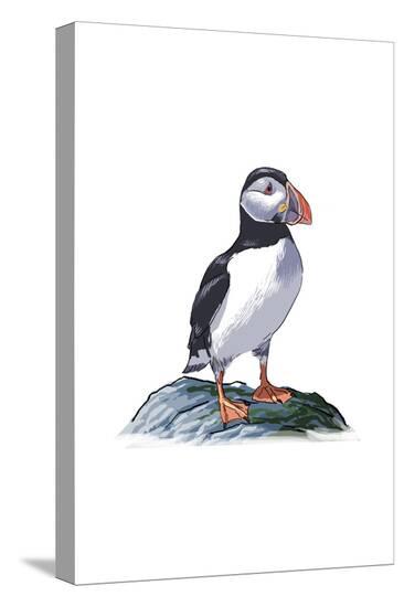 Stretched Canvas Print, , large