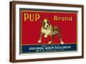 Brown Frame