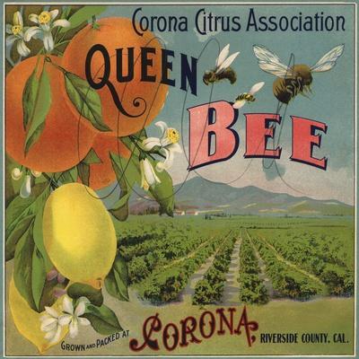 produce vintage art posters wall art prints allposters com