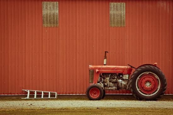 Photographic Print, , large