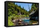 Canvas Black