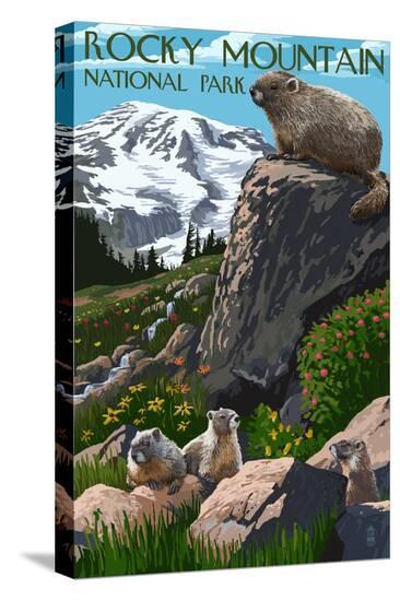 Stretched Canvas Print, , large