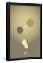 Essential Black