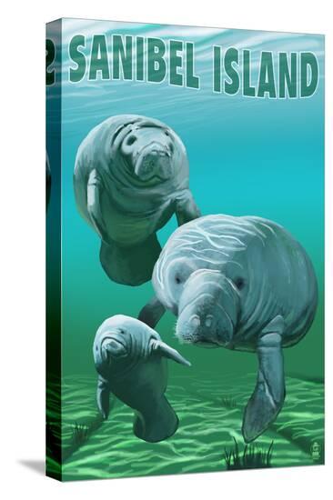 Stretched Canvas Print, , large