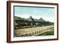 Brown Frame