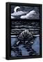 Essential Black